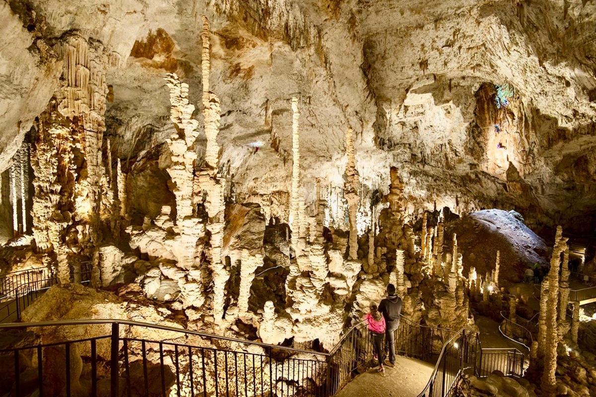 Hebergements Des Posas Sampzon Εξωτερικό φωτογραφία