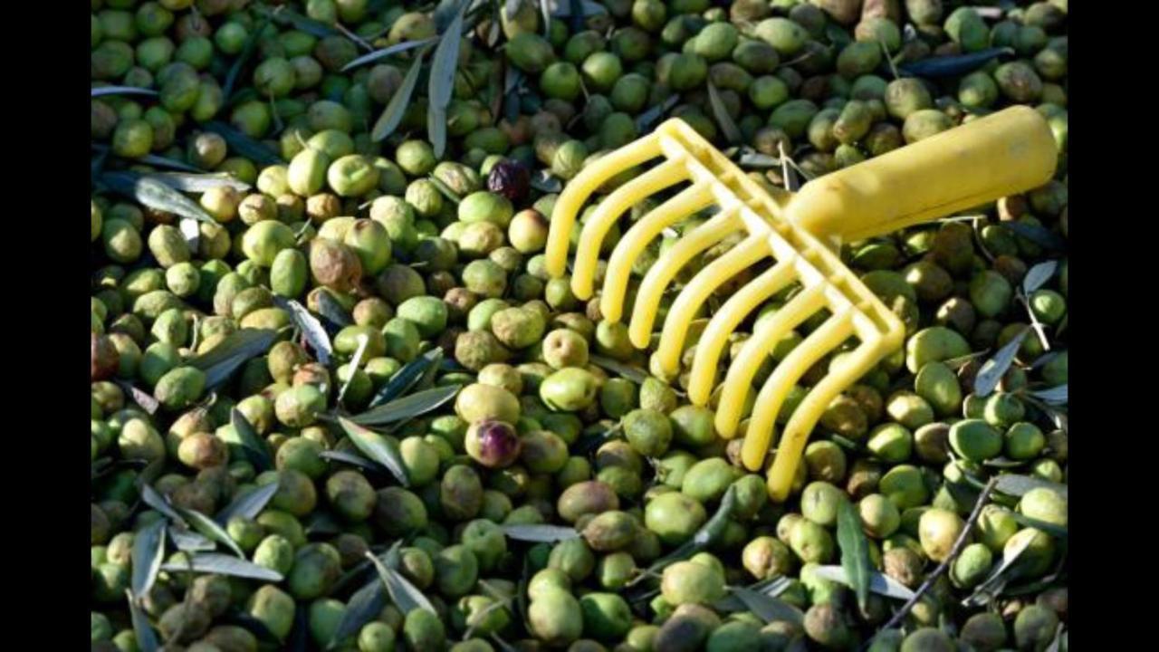 Hebergements Des Posas Sampzon Εξωτερικό φωτογραφία